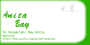 anita bay business card